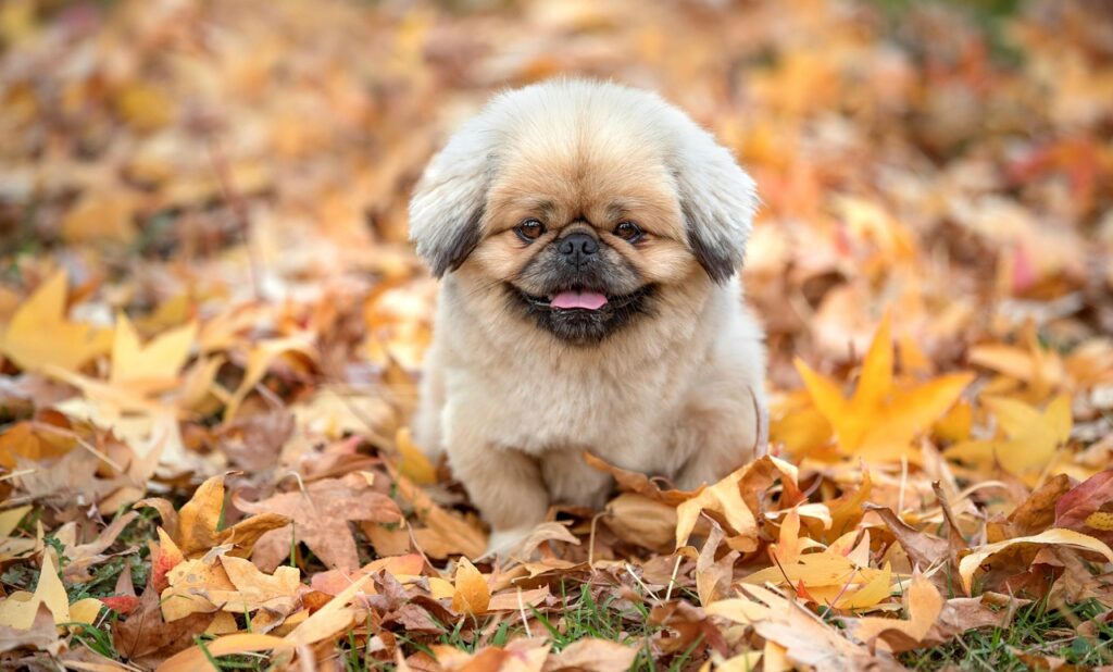 ワキ汗の応急処理に役立つ会社常備グッズは？