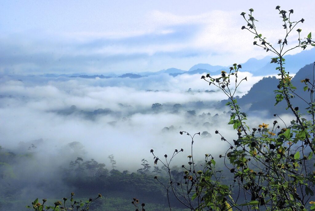 ワキ汗対策に効果的な歯みがきのタイミングは？