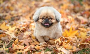 ワキ汗対策に効果的なワキクールグッズは？