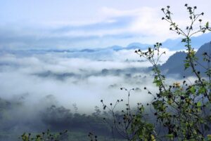 ワキ汗による汗ジミを防ぐ対策は白Tに最適？