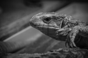 ワキ汗を止めるリフレアの口コミは本当に信頼できるの？