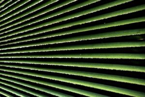 ワキ汗パッドが剥がれないためのポイントは？
