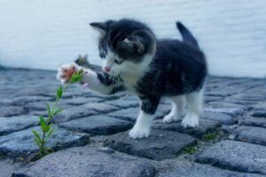 汗ジミが目立たないブラウスはどれを選ぶべき？